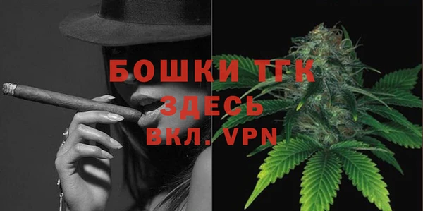 ГАЛЛЮЦИНОГЕННЫЕ ГРИБЫ Инта