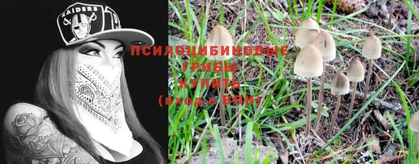 гидропоника Иннополис