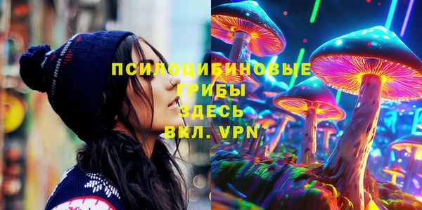 гидропоника Иннополис