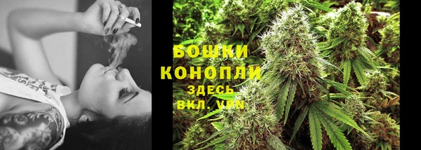 ГАЛЛЮЦИНОГЕННЫЕ ГРИБЫ Инта