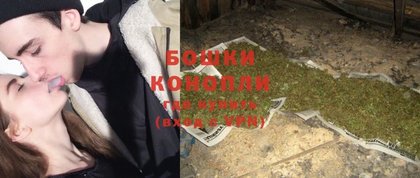 ГАЛЛЮЦИНОГЕННЫЕ ГРИБЫ Инта