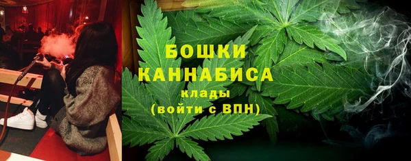 ГАЛЛЮЦИНОГЕННЫЕ ГРИБЫ Инта
