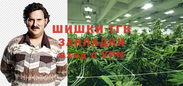 ГАЛЛЮЦИНОГЕННЫЕ ГРИБЫ Инта