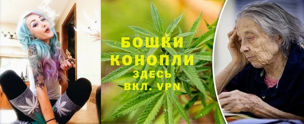 гидропоника Иннополис