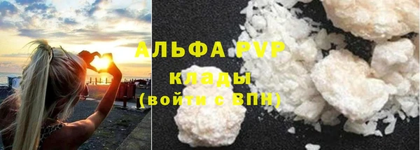 ГАЛЛЮЦИНОГЕННЫЕ ГРИБЫ Инта