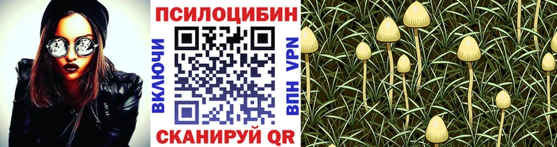 Галлюциногенные грибы Cubensis  Купить закладки  Луза 